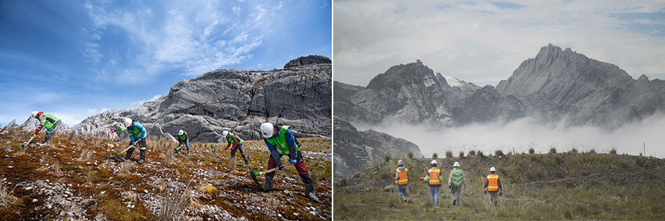 After the old stockpiles are covered with limestone, workers install native grasses to restore the mountaintop to a more natural habitat; About 300 workers are engaged in environmental restoration work at the Grasberg open pit stockpiles