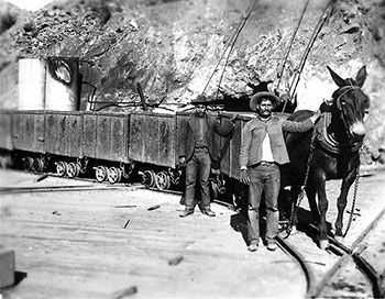 Mule-drawn carts were used to haul ore in the early days of Morenci.